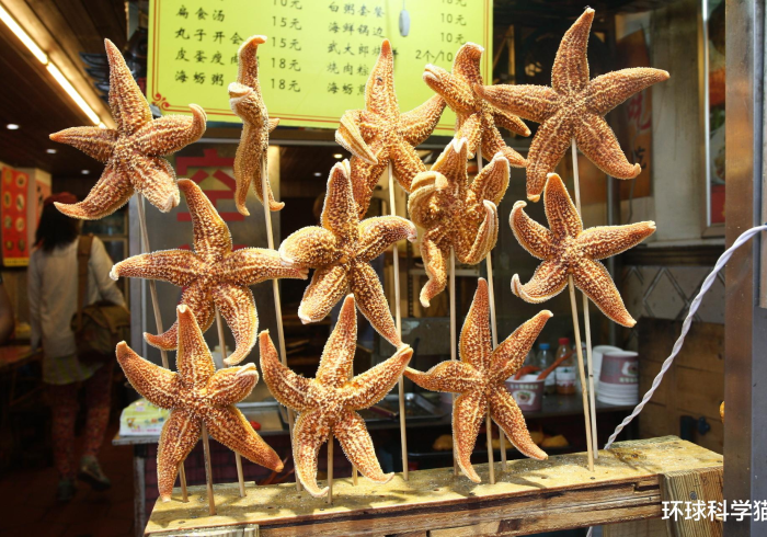 【第一发现】“海星大厅真的确实有挂[分享装挂详细步骤]