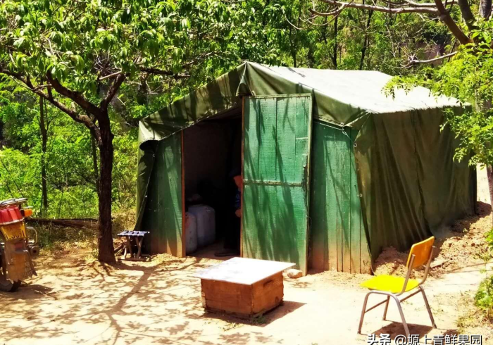 我 来 教 教 大 家 恵 众 输 赢 规 律 ( 确 实 真 的 有 挂 ) 我 来 教 教 大 家 恵 众 输 赢 规 律 ( 确 实 真 的 有 挂 )