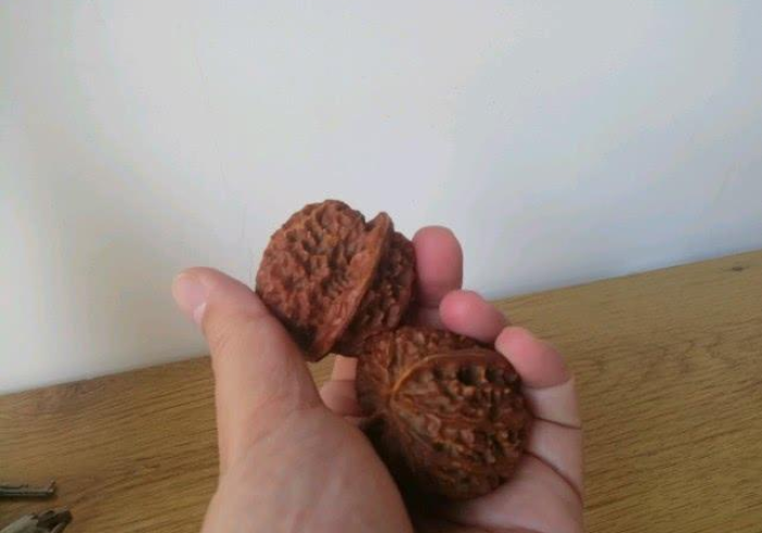 教程辅助工具雅苑湖北麻将有挂吗(透视)全程揭秘开挂教程 教程辅助工具雅苑湖北麻将有挂吗(透视)全程揭秘开挂教程