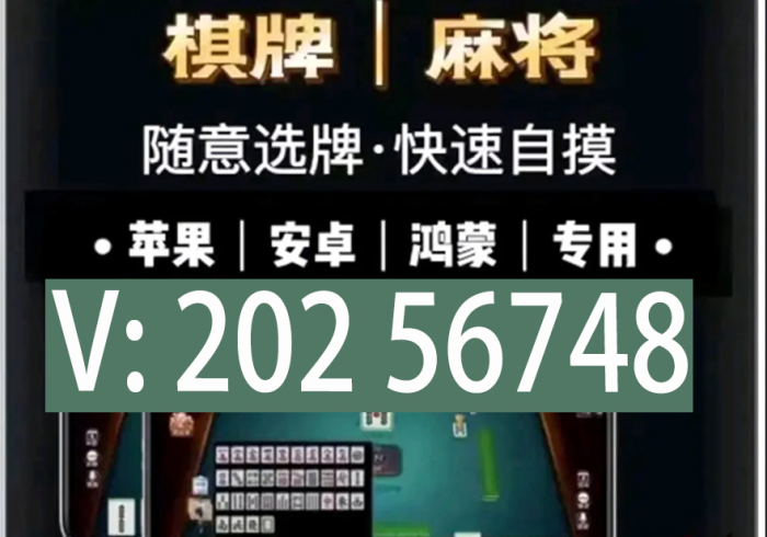 教大家使用“功夫川麻将开挂神器+透视挂”开挂辅助教程